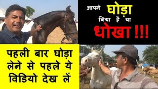 घोड़ा और टट्टू में फर्क जान लो How To Know Differences Between Horse & Pony. Equine Information Video