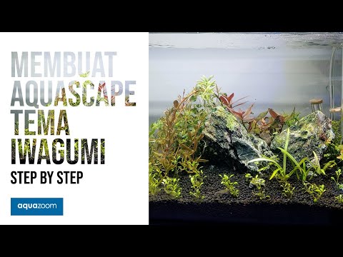 step-by-step-membuat-aquascape-iwagumi---pemula-pasti-bisa!
