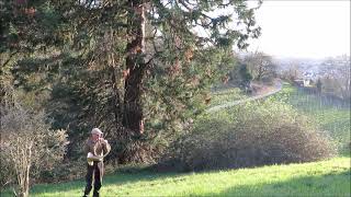 Le Rendez-Vous De Chasse Von Rossini Als Parforcehorn-Solo In Es-Dur