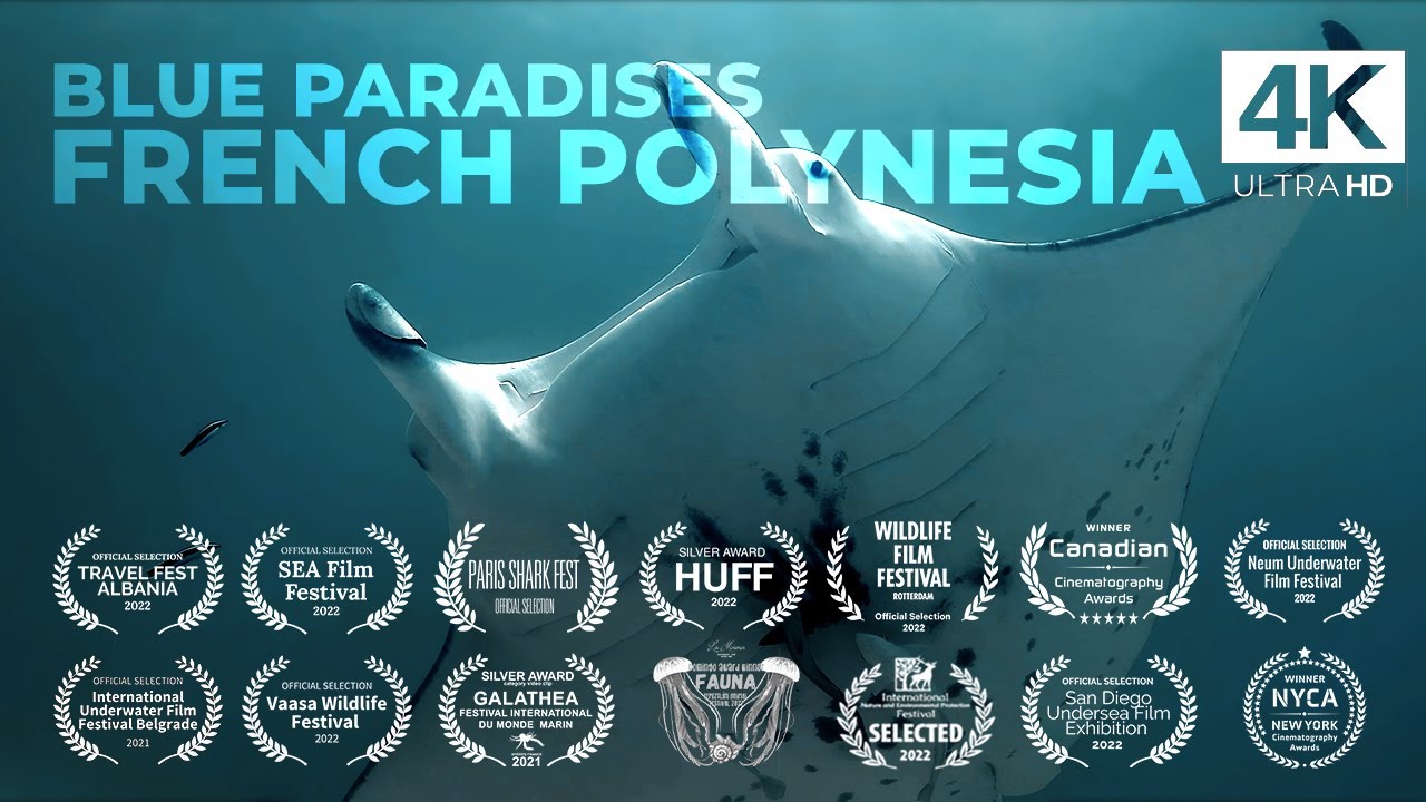 Diving FRENCH POLYNESIA - Tahiti - Underwater Video 4K - BLUE PARADISES (S01)