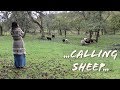 KULNING - Calling our SHEEP - Ancient Herding Call by Sarah Eden