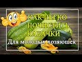 Как почистить кабачки 👍 Легко и быстро. Для молодых хозяюшек