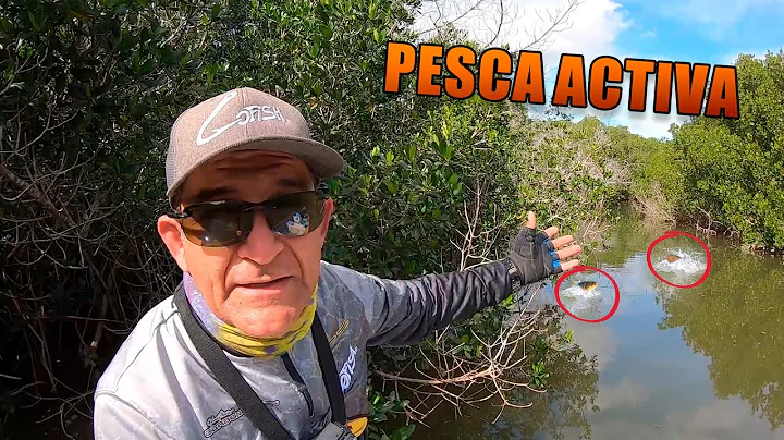 ASOMBROSOS LUGARES DE PESCA EN EL ESTERO | Lupe Lo...