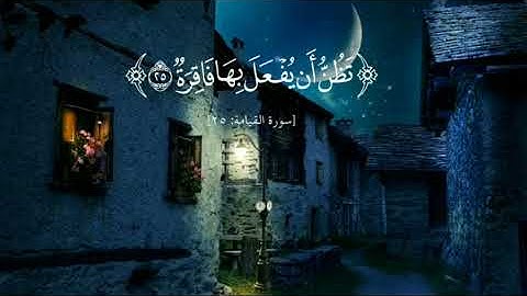 سورة القيامة كاملة | مع آيات مكتوبة | تلاوة حزينة تبكي القلب 💔😭