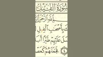 قرآن كريم - سورة الفيل #shortvideo #اكسبلور #qurantranslationhd #تلاوة_خاشعة #سورة_الفيل