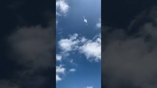 Celebrity Don’t Panic Firework Shell ( salute ) Profile