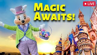 LIVERope Drop & Easter Fun at the Magic Kingdom | Walt Disney World Live Stream In Full HD
