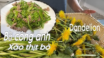 Tác dụng kỳ diệu của Bồ Công Anh với ruột, gan. Hái rau rừng xào thịt bò. Cuộc sống ở Đức