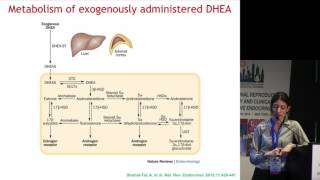 Diagnostic importance of conversion of DHEA to testosterone | Shohat-Tal