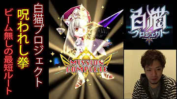 白猫 壁抜き 白猫 壁抜き