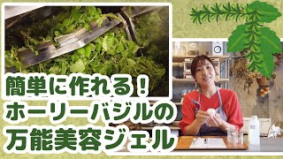 【ホーリーバジル】簡単に作れる万能美容ジェル