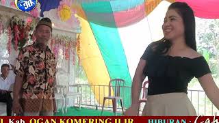 PAGAR MAKAN TANAMAN - OT.CABI - DC STUDIO AWAL TERUSAN - CAHAYA BINTANG