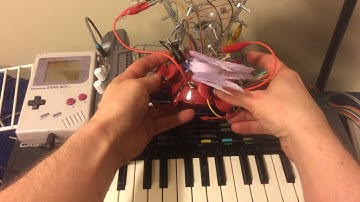 Circuit Bent Casio SK-1 With Birdfeeder Control Panel