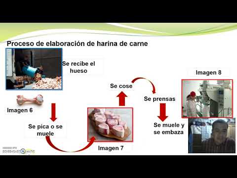 Video: Cómo Utilizar La Harina De Carne Y Huesos
