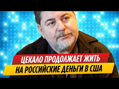 Сбежавший Александр Цекало продолжает жить на российские деньги
