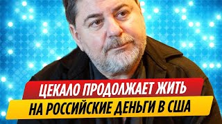 Сбежавший Александр Цекало продолжает жить на российские деньги