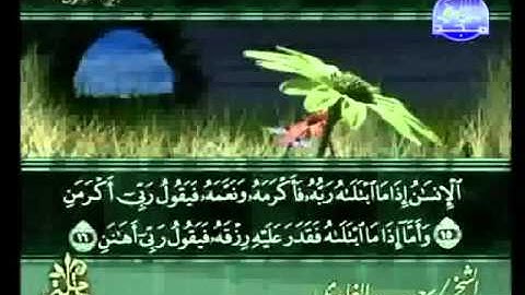 سورة الفجر الشيخ سعد الغامدي