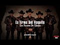 La Firma Del Flaquito - Los Tucanes De Tijuana (Audio Oficial)
