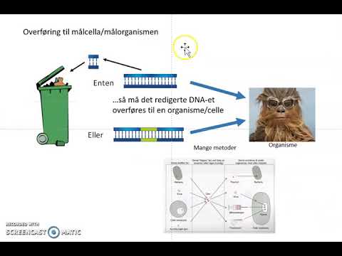 Video: Ressurser For Utforming Av CRISPR Genredigeringseksperimenter