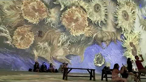 Van Gogh experience