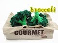 Pipe Cleaner Tutorial - Broccoli