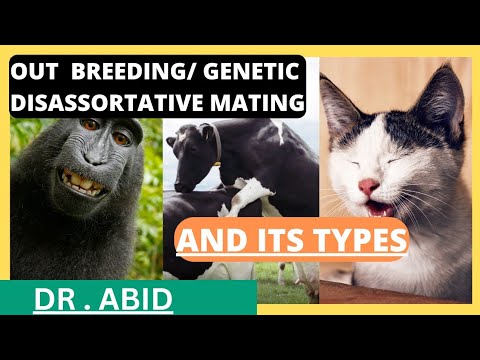 Disassortative Mating Examples Outbreeding or genetic disassortative mating? and Various kinds of ...