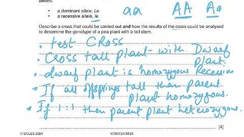 9700/M24/42 VIDEO1 Q1 Q2 Q3 EXPLAINED