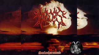 Caedes - Seelenharmonie