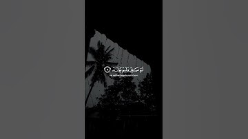 سورة الإخلاص ( كاملة ) | القارئ ماهـر المعيقلي