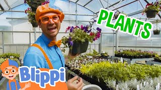 Blippi Visits a Greenhouse | Learning about Plants For Kids | Educational Videos For Kids