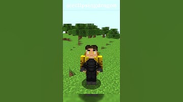 Infdev had some WEIRD Armor