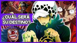 Trafalgar Law: ¿el nuevo Mugiwara? || One Piece Teoría