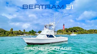 USED BERTRAM | Bertram 31 Running — Pure Offshore Design in Motion