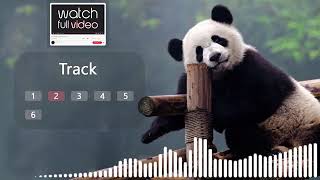 Panda Sound Effect Grizzly Bear Roar