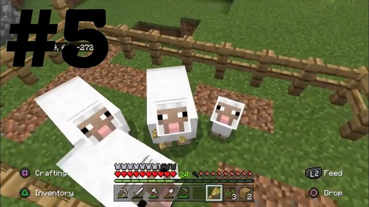 CoolCraft season.1 ep.5|My Next Big Project!