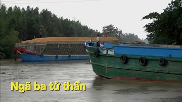 Sà lan chở trấu khổng lồ quá căng thẳng khi đánh cua qua đây