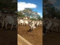 Fazenda Carnaúba Taperoá