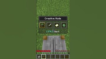 Minecraft Logic That Makes No Sense  #minecraft #shorts