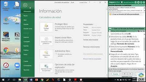 jasper excel2016 expert L1E5 formatos fecha personalizados