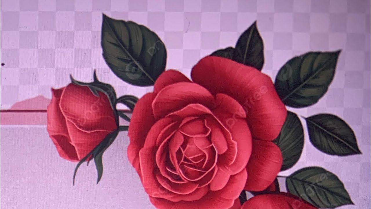 الله براحة البال وقبول الأعمال وصلاح الحال صباح الخير