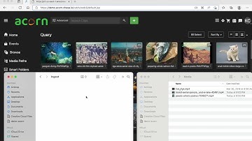 Acorn Cloud Media Ingest Workflow Demo