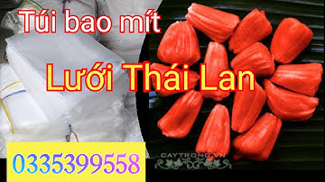 Cung cấp túi bao mít, bưởi, mãng cầu. Lưới Thái Lan sử dụng trên 3 năm. 0335399558