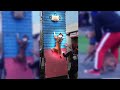 pit bull show (wall climbing)