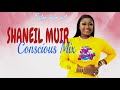 Shaneil muir mix 2023  shaneil muir conscious and positive songs  dancehall mix 2023