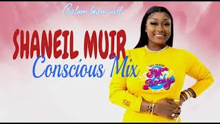 Video thumbnail of "Shaneil Muir Mix 2023 | Shaneil Muir Conscious And Positive Songs | Dancehall Mix 2023"