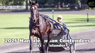 2026 Hambletonian Contenders Marcus Melander