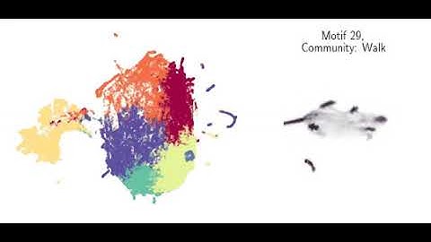 Preprint „Identifying Behavioral Structure from Deep Variational Embeddings of Animal Motion“