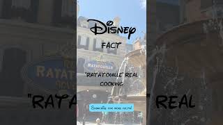 Disney Fact #50 @Disney #disney #disneyworld #waltdisney #disneyland #youtubeshorts  #disneyfacts