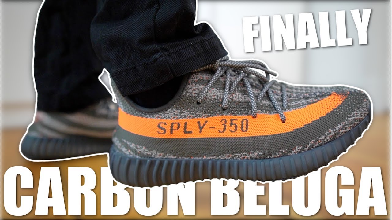 YEEZYS ARE BACK! - ADIDAS YEEZY 350 V2 CARBON BELUGA REVIEW & ON FEET