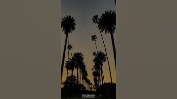 احب الكلام الى الله؟؟#خواطر #اذكار #ارح_قلبك #الله #راحة_نفسية #سبحان_الله #قران_كريم #اكسبلور